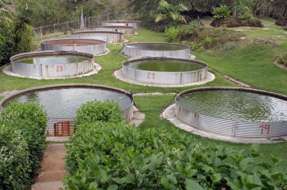 Foto de los tanques de agua usados en la estacion de Piscicultura de la UCLA en la zona de Guaremal - Yaracuy